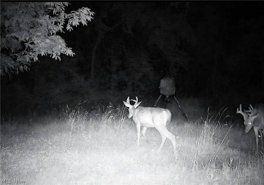 Picture 16
