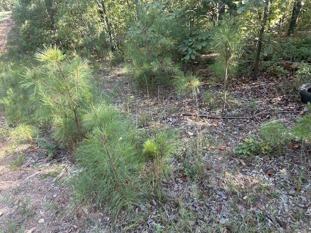 Picture 6