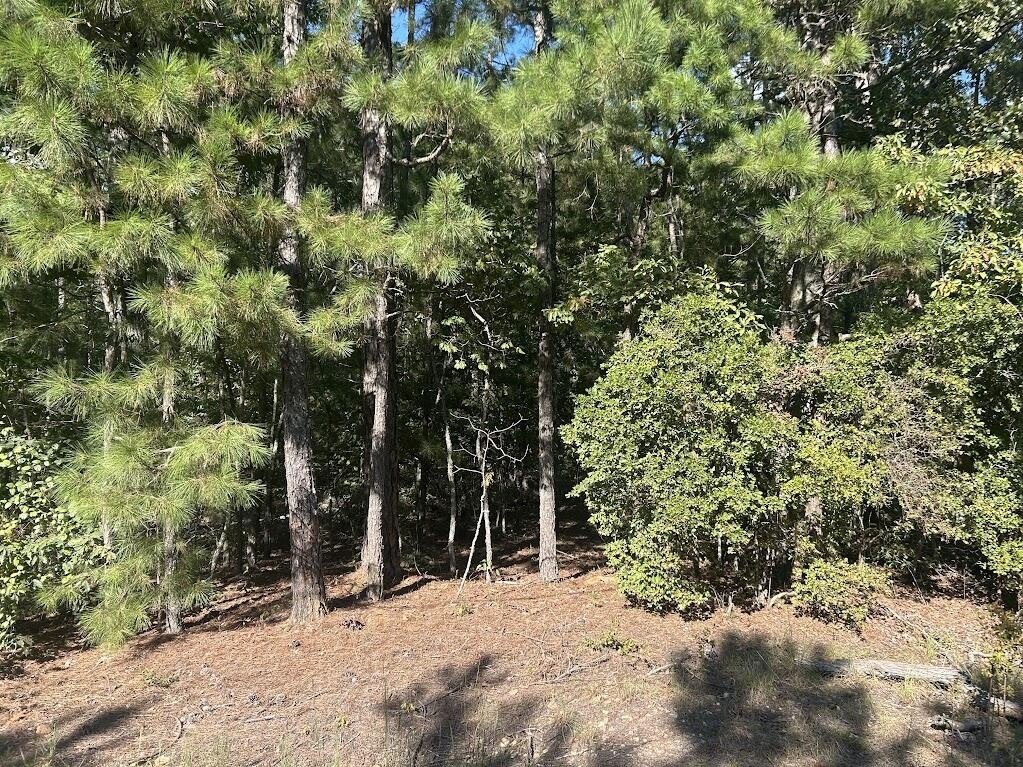 Picture 2