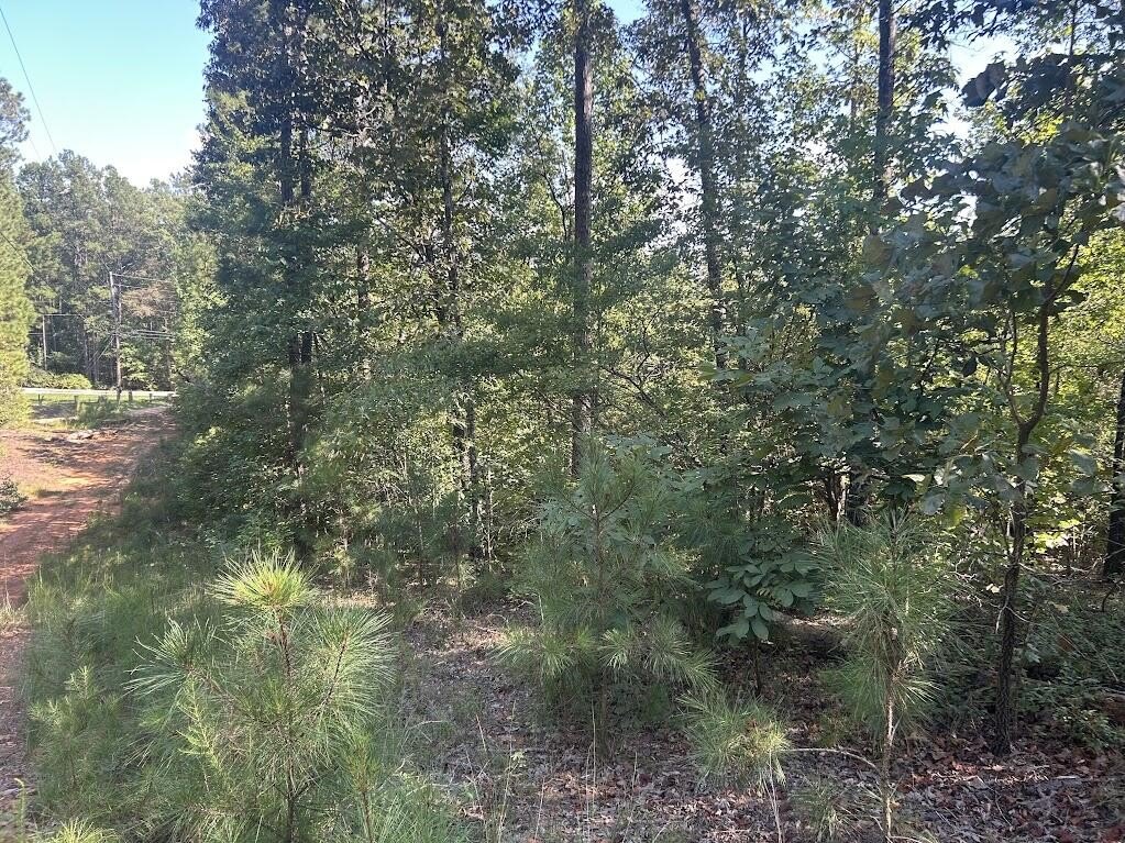 Picture 12
