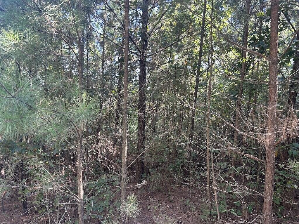 Picture 4