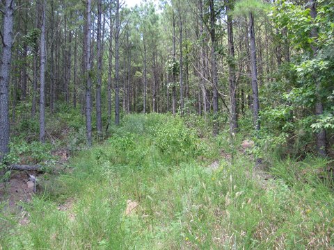 Land in Hardy Creek, Oklahoma