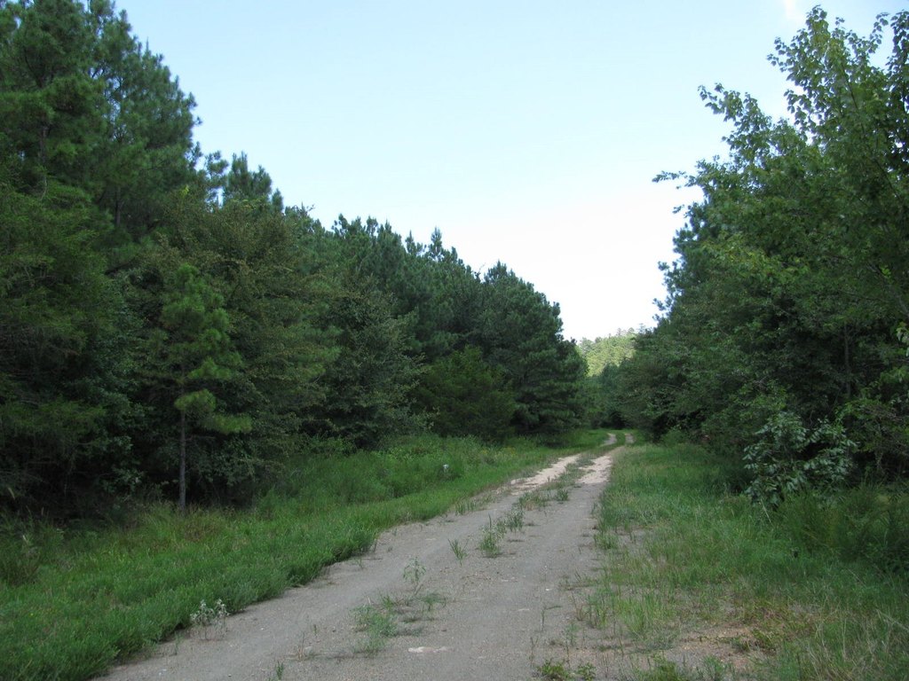 Picture 4