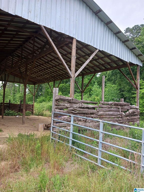 Picture 14