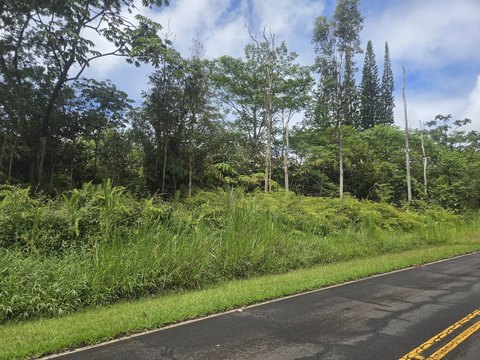 LAND - Pahoa, HI
