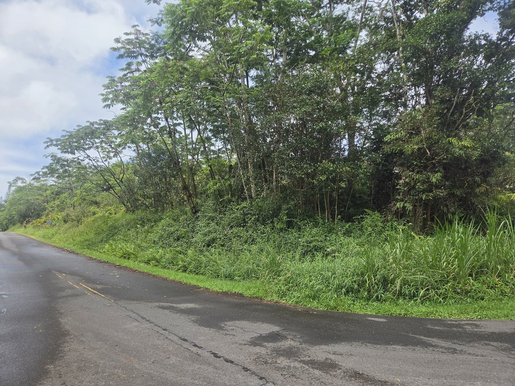 Picture 10