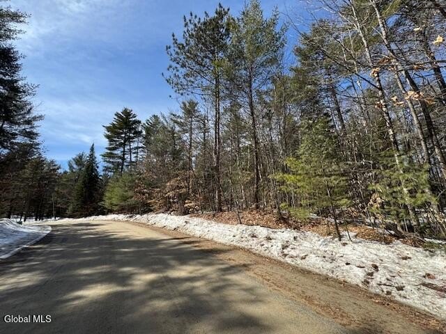 Residential Lot in Gore Mt Area
