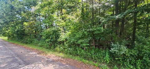Land, Rocky Mount, VA