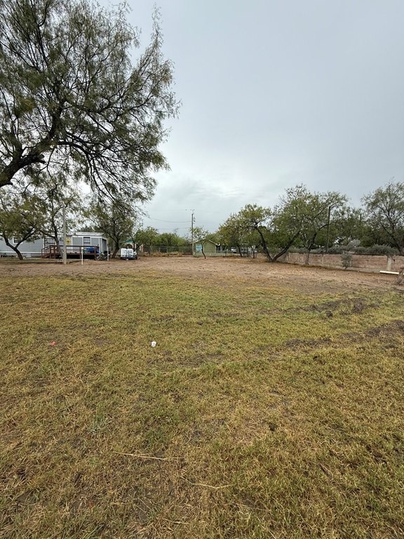 Picture 5