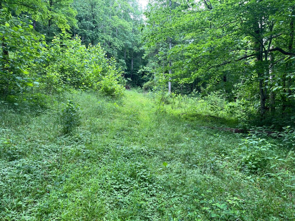 Picture 17
