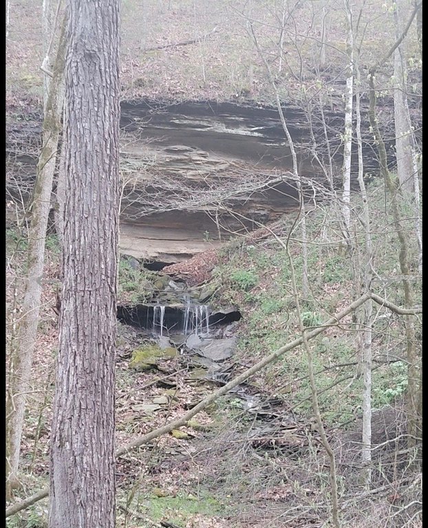 Picture 39