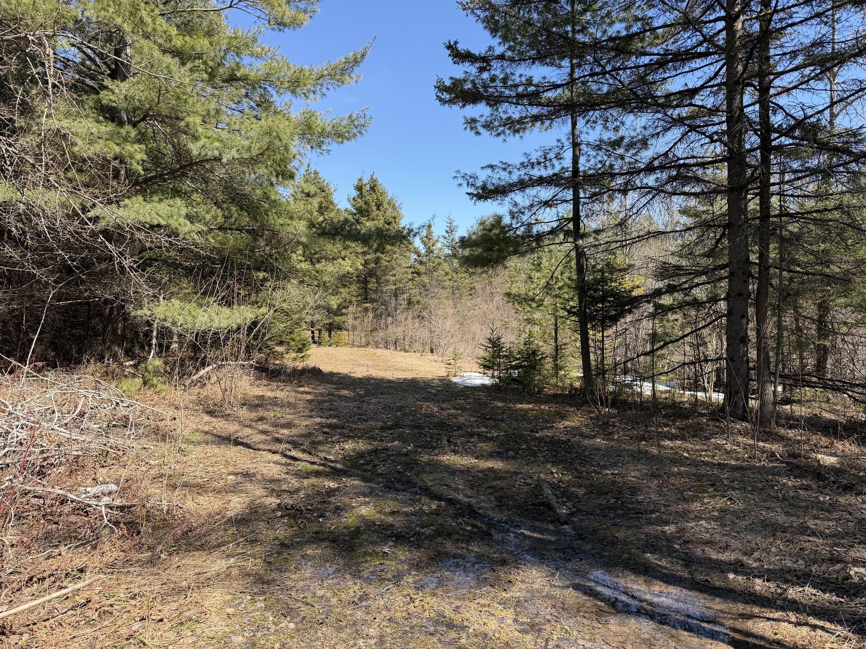 Alpena Industrial Land For Sale