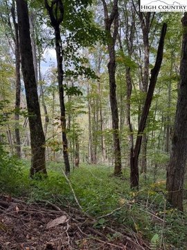 Creston, NC Mountain Land