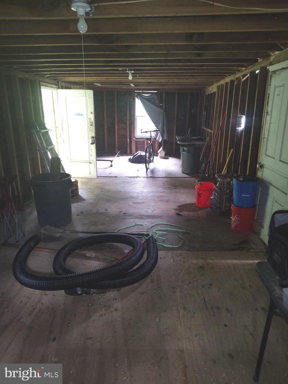 Picture 11