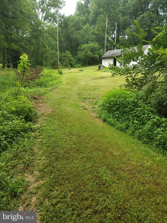 Picture 5