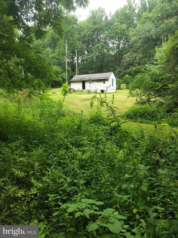 Picture 8