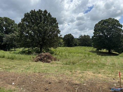 Residential Land in Anderson, AL