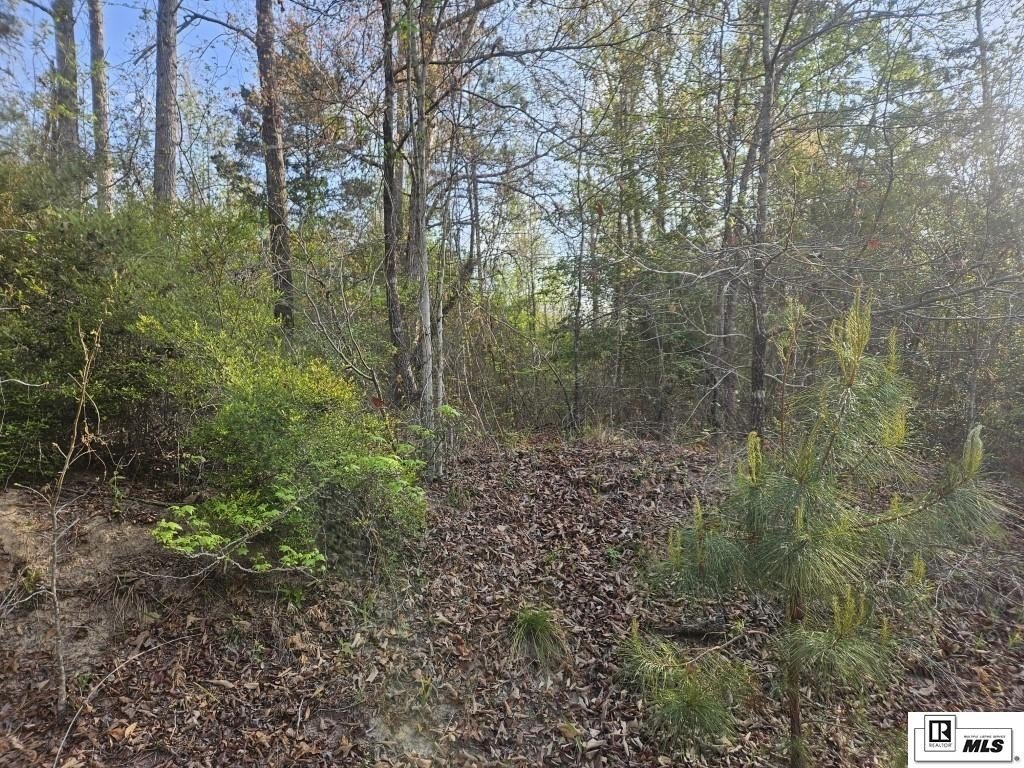 Picture 3
