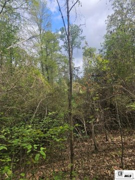 Woodsland - Calhoun, LA