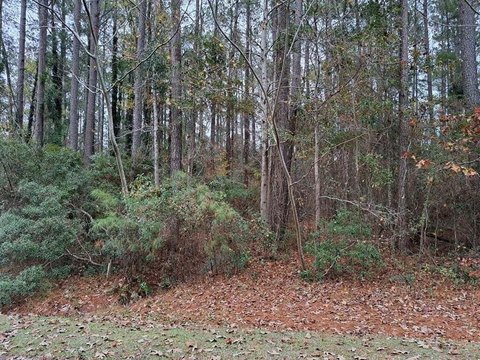 Land, Santee, SC