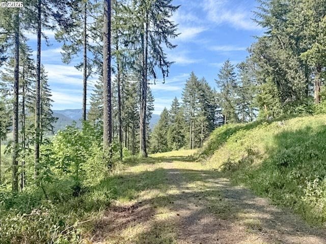 Picture 10