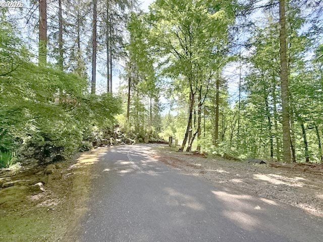 Picture 19