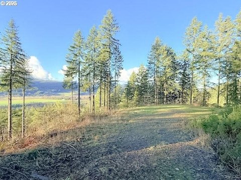 Springfield Land with Stunning Views