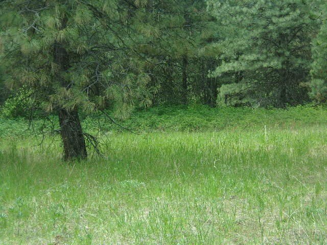 VALLEY, WA Acreage For Sale