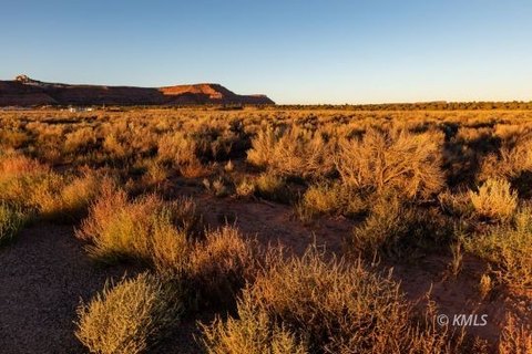 Horse Property Home Lot