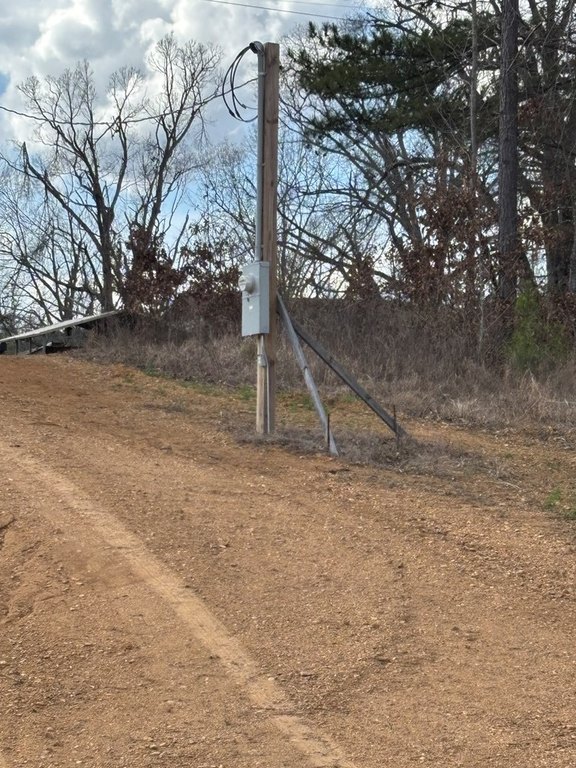 Picture 5