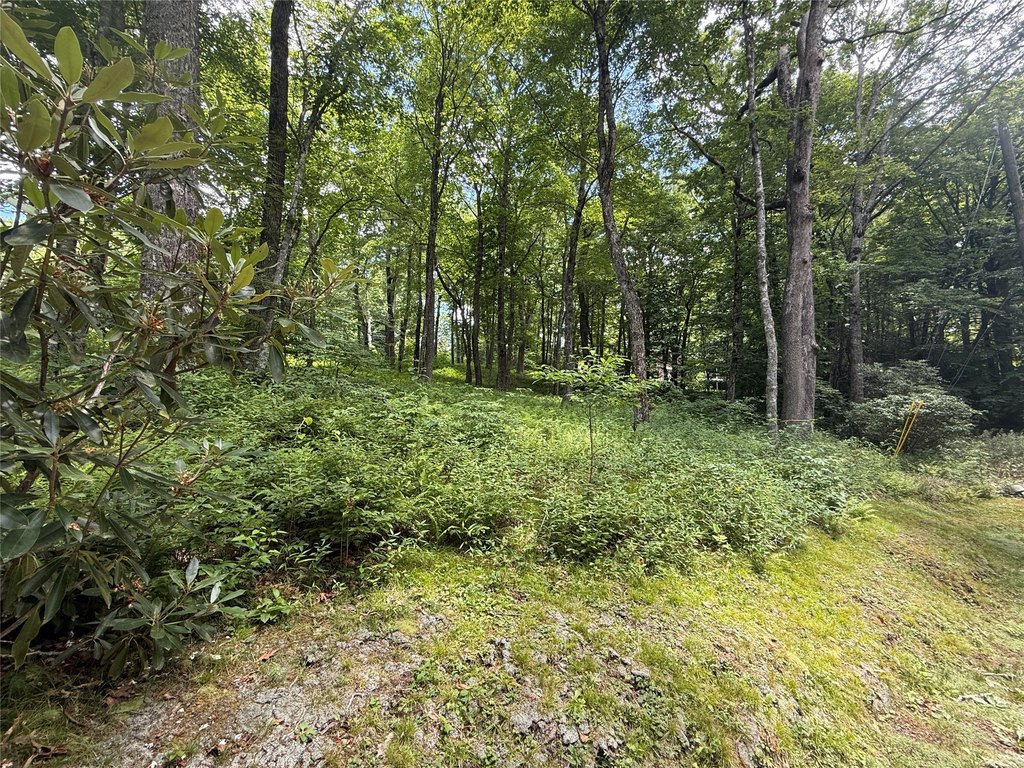 Picture 4