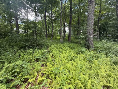 LAND - Highlands, NC