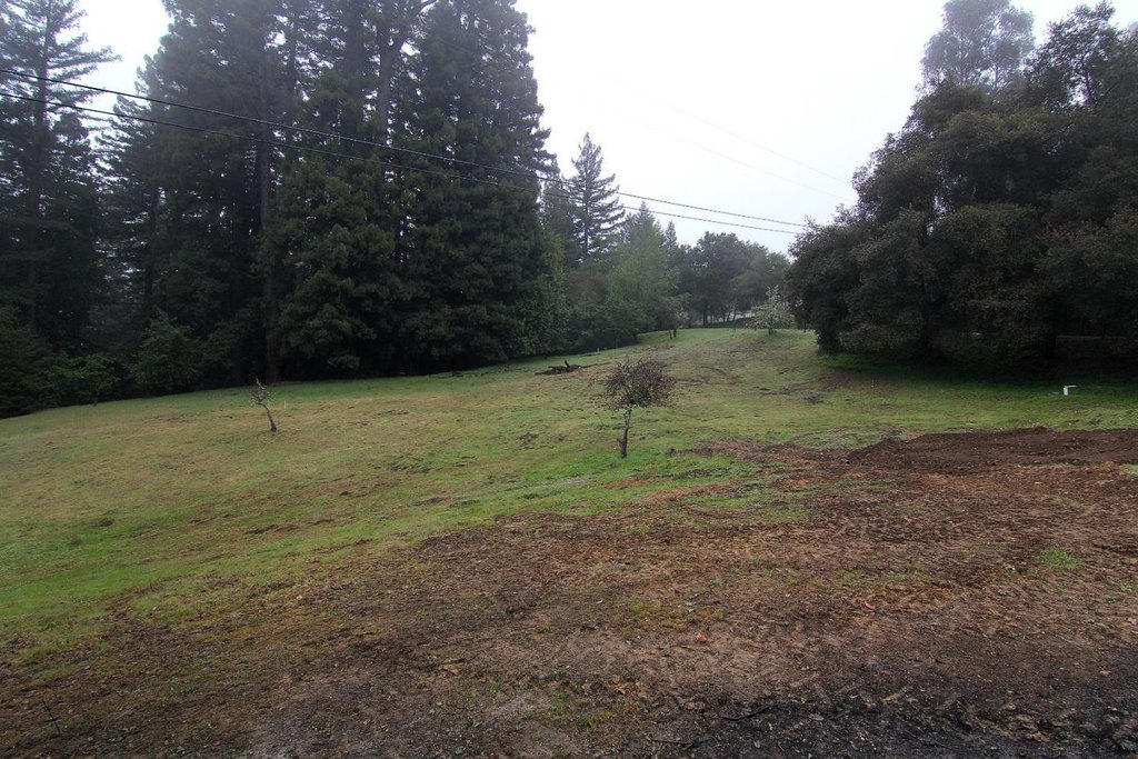Picture 10