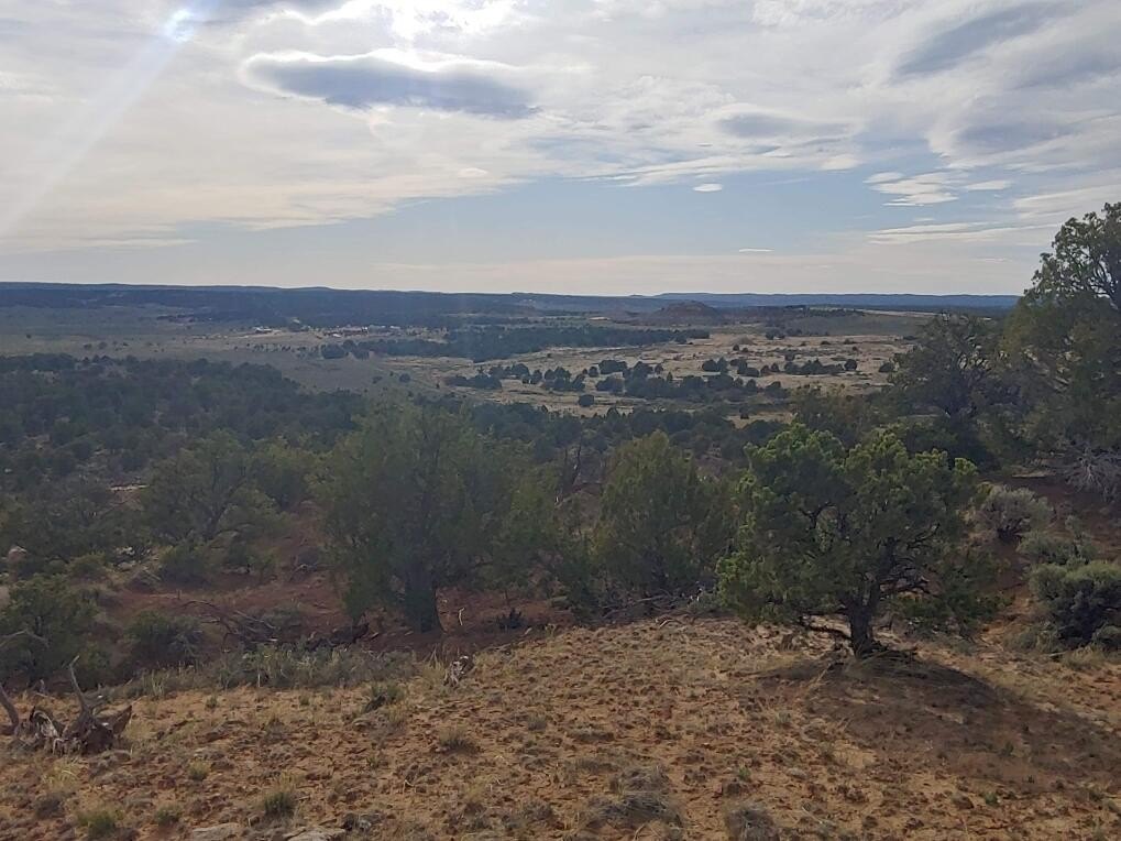 Spacious Land in Lindrith, NM