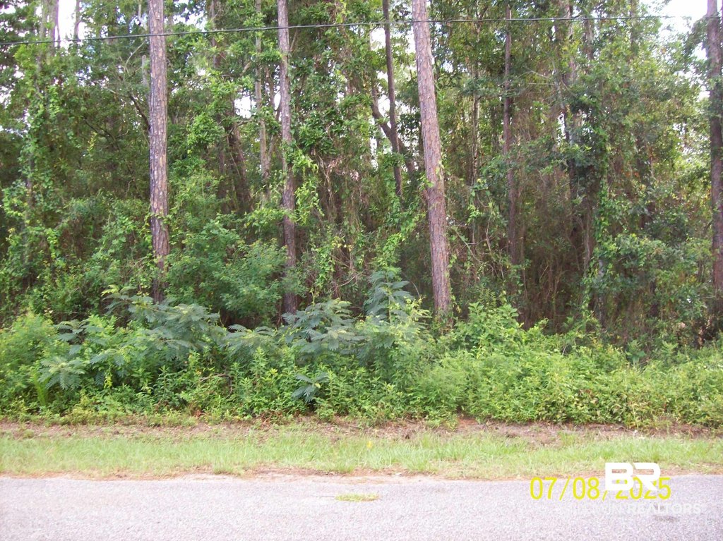 Picture 3