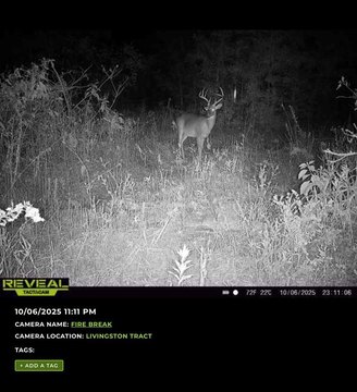 67.6 Acres in Decatur County