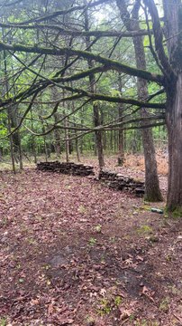 Forsyth Land Near Branson Lakes