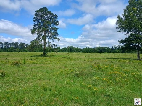 Fenced Agricultural Land