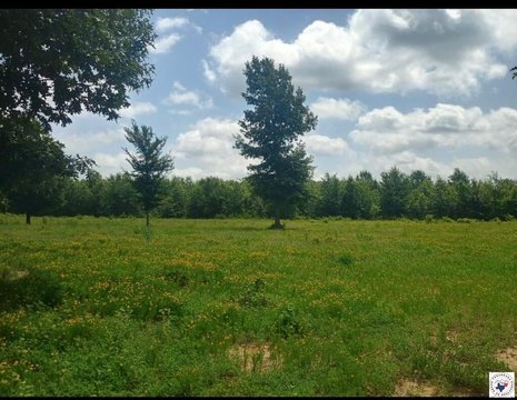 LAND - Simms, TX