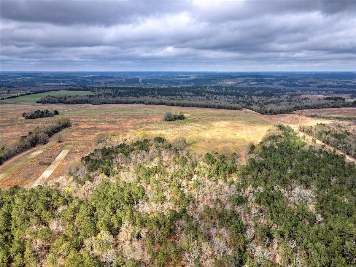 Expansive Land Tract in Johnston