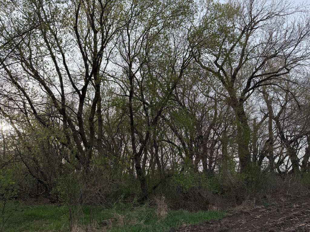 Picture 33