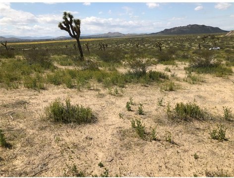 Lancaster Land For Sale