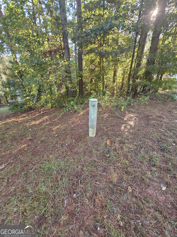 Picture 11