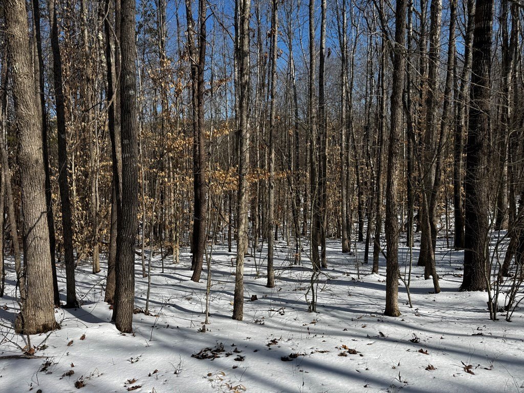 Picture 46