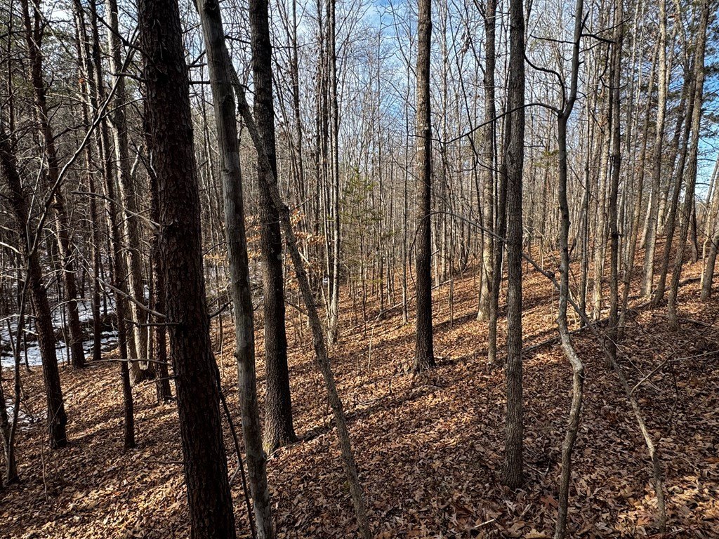 Picture 28