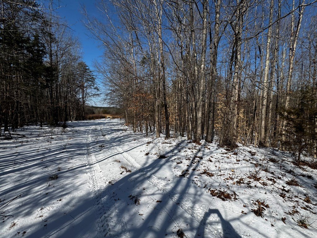 Picture 23