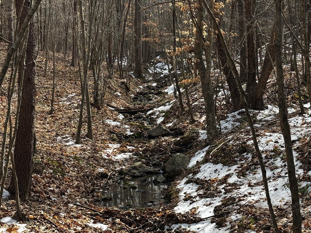 Picture 18