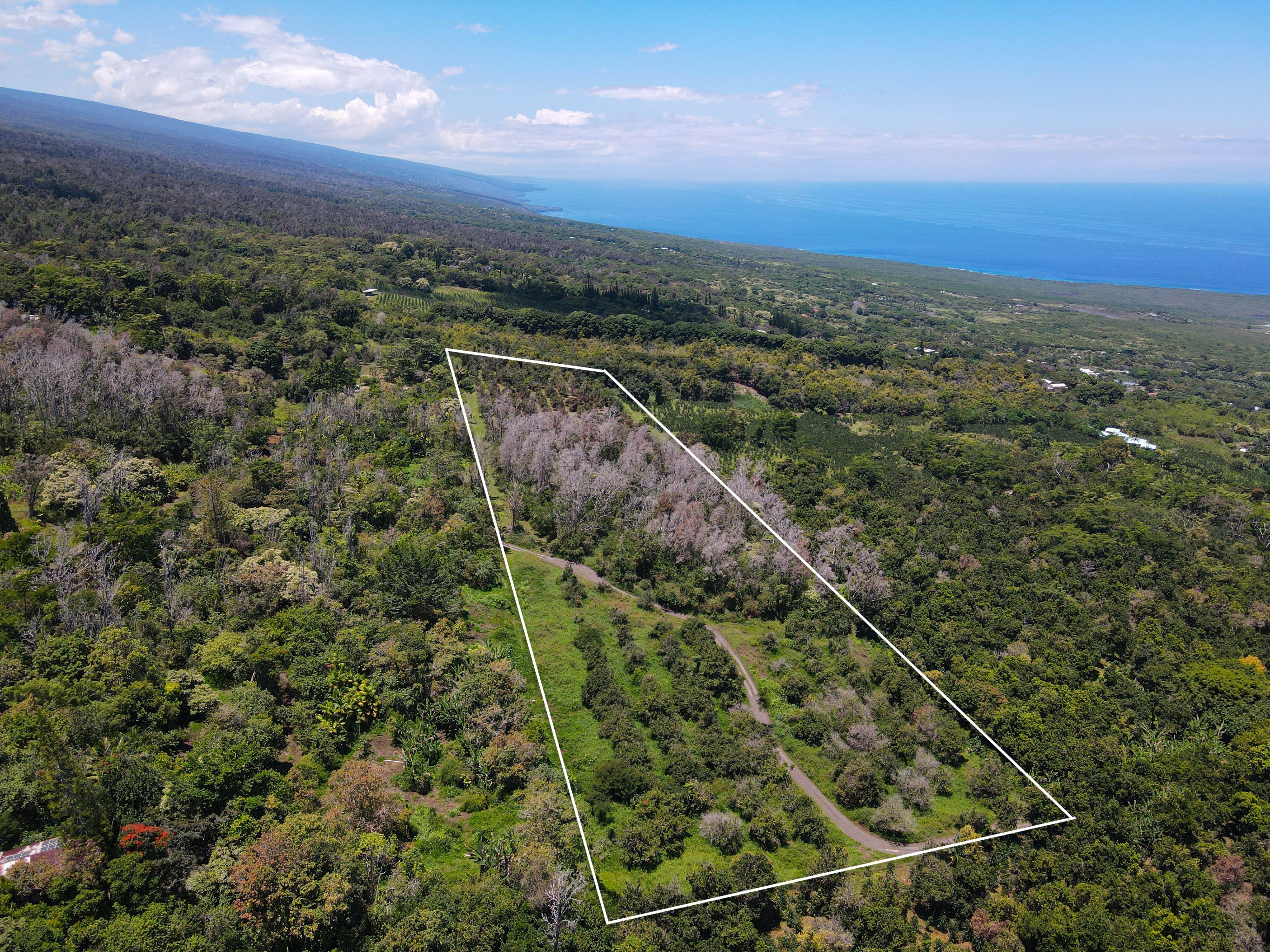 Honaunau Leasehold Macadamia Nut Farm