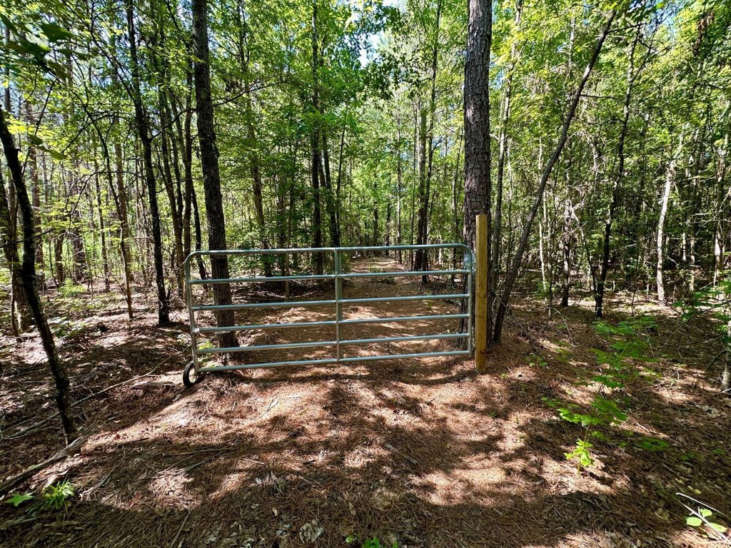 Picture 15