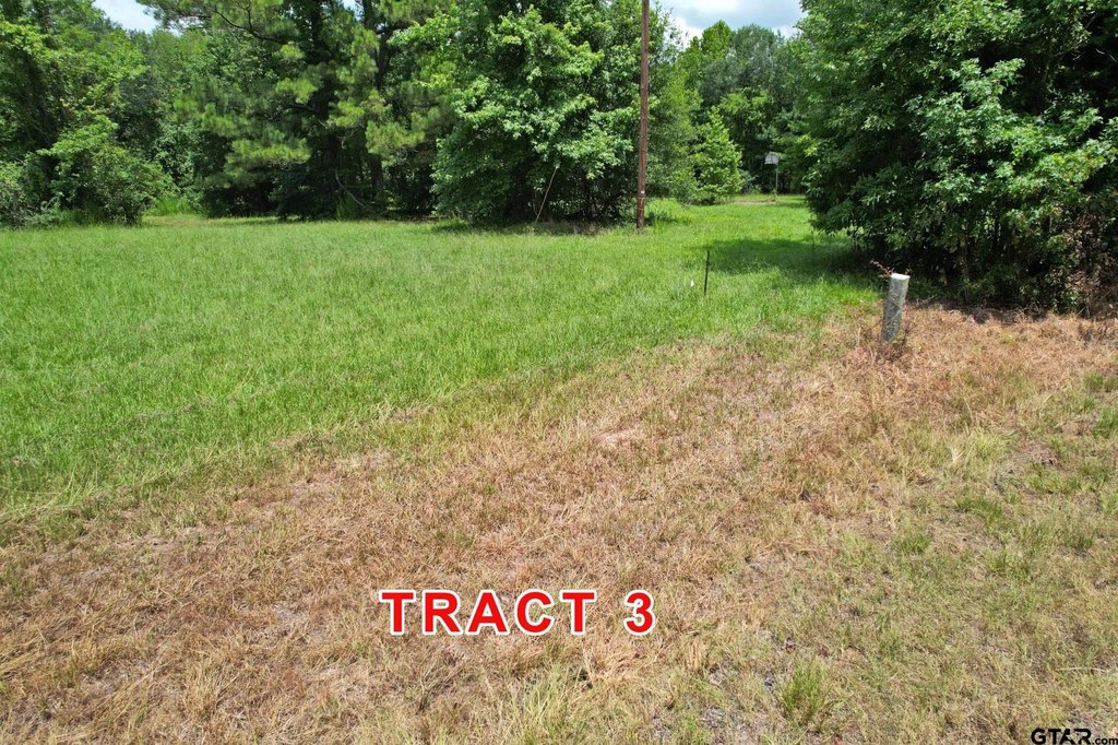 Picture 7
